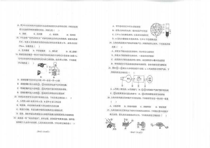 山东省青岛市市南区2022-2023学年七年级下学期期末生物试题03