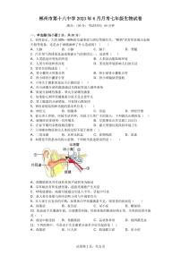 湖南省郴州市第十八中学2022-2023学年七年级下学期6月月考生物试题