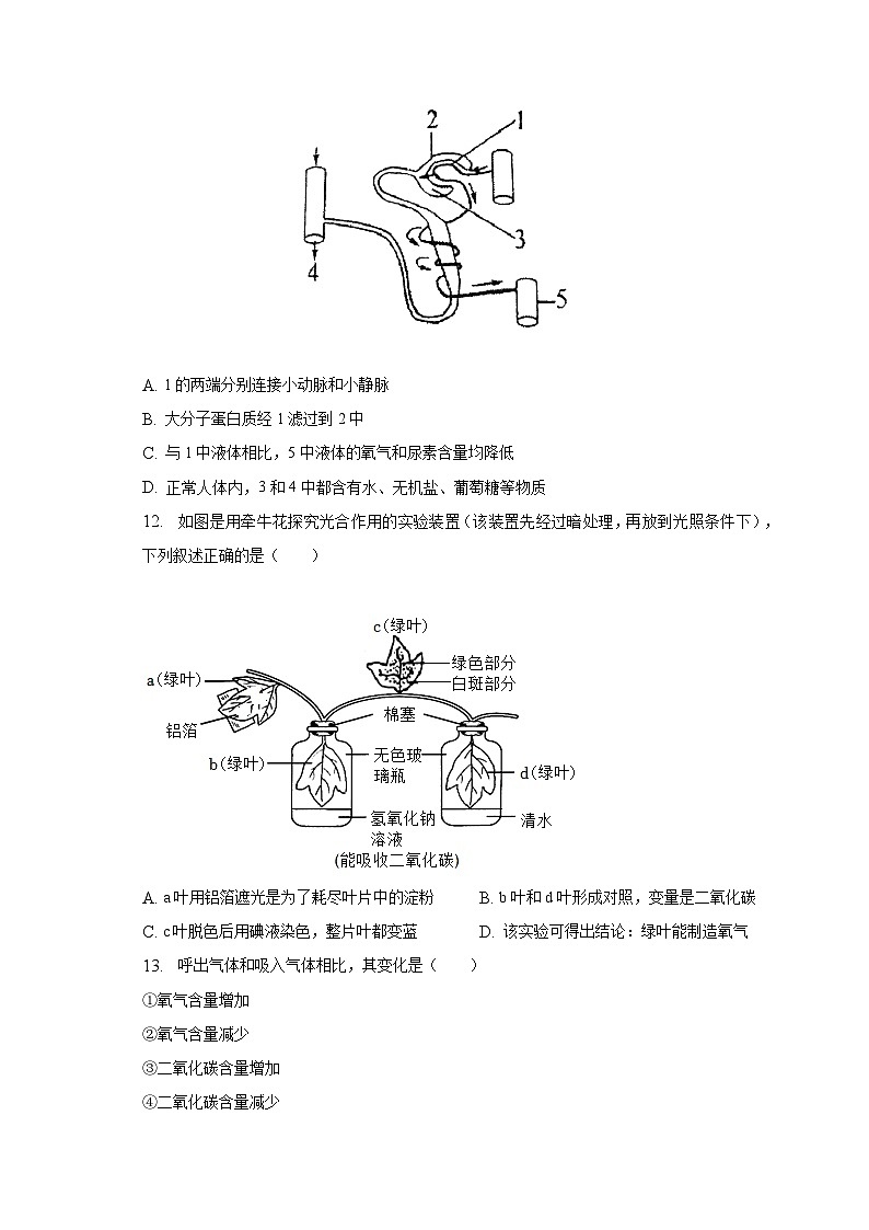 2023年山东省德州市禹城市中考生物三模试卷(含答案)03