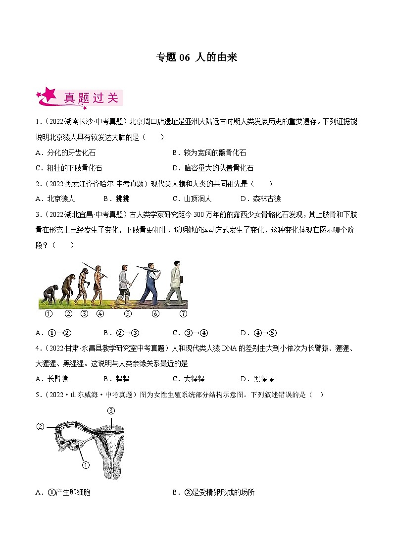 专题06 人的由来(习题帮)(原卷版)-备战2023年中考生物一轮复习考点帮(全国通用)01