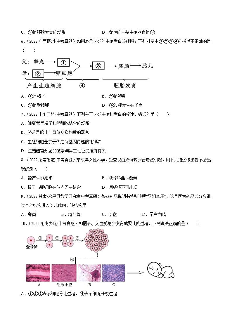 专题06 人的由来(习题帮)(原卷版)-备战2023年中考生物一轮复习考点帮(全国通用)02
