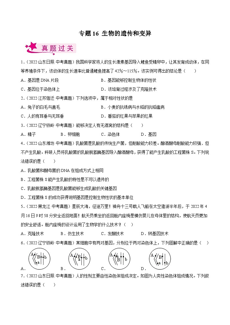 专题16 生物的遗传和变异(习题帮)(原卷版)-备战2023年中考生物一轮复习考点帮(全国通用)第1页