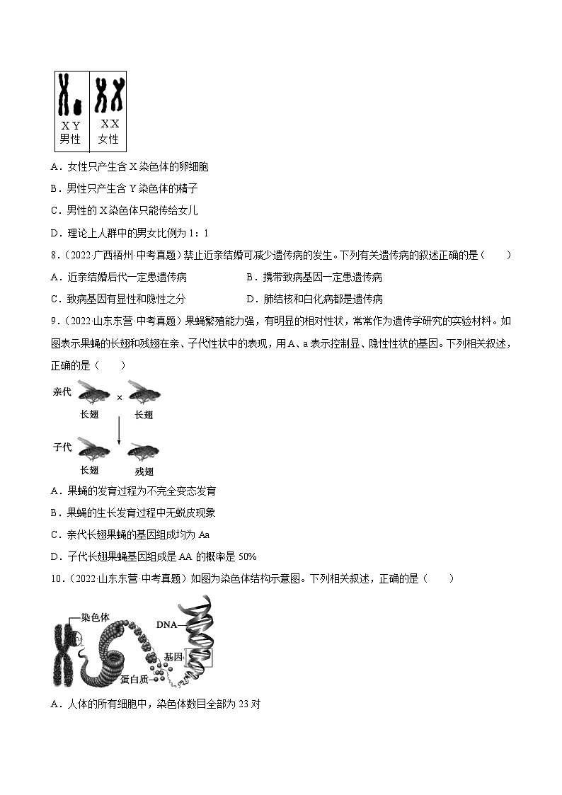 专题16 生物的遗传和变异(习题帮)(原卷版)-备战2023年中考生物一轮复习考点帮(全国通用)第2页