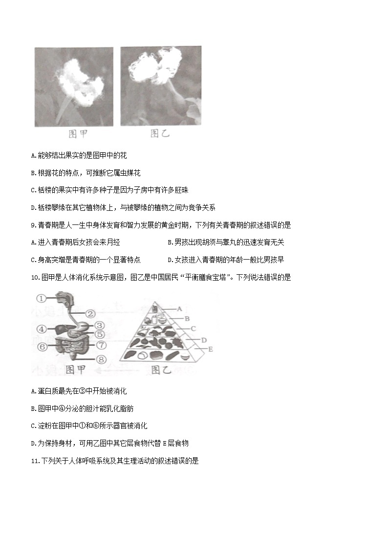 2023年湖南益阳中考生物真题(无答案)第3页