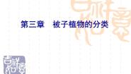 冀少版七年级上册第六节 被子植物课文课件ppt