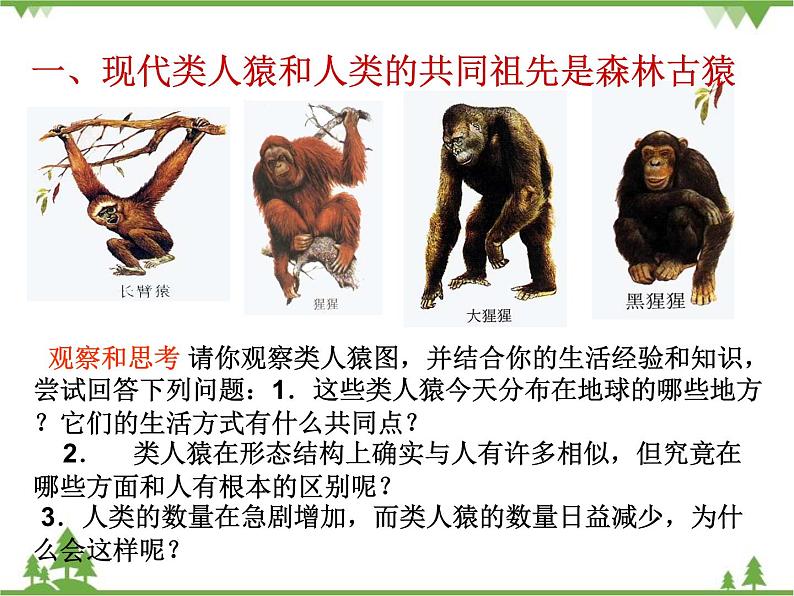 人教版生物七年级下册 第1章 第1节 人类的起源和发展2课件第5页