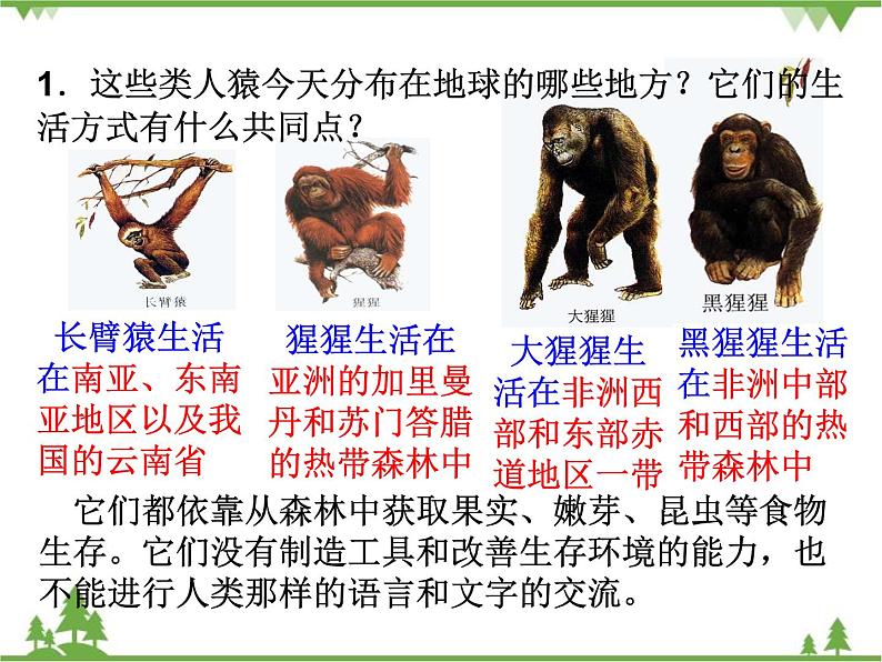 人教版生物七年级下册 第1章 第1节 人类的起源和发展2课件第6页