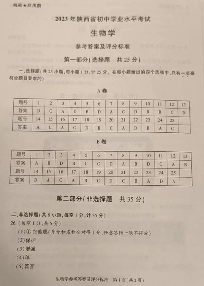 答案第1页