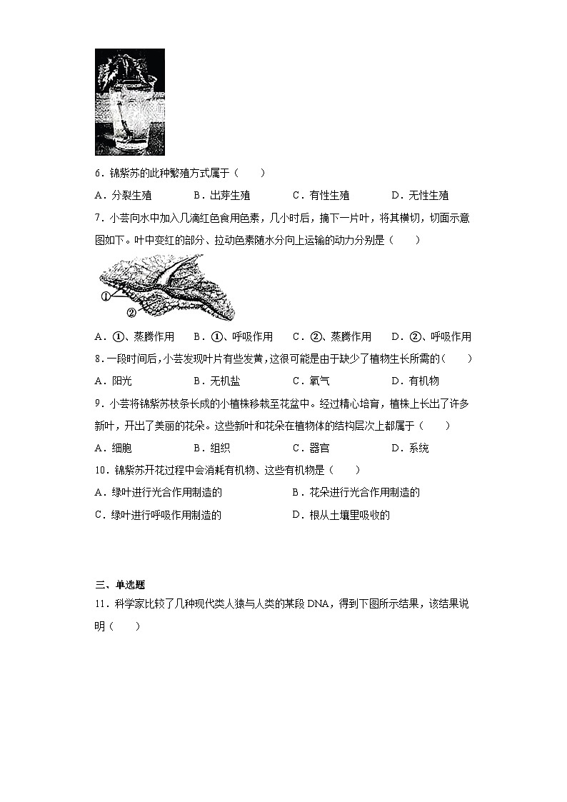 2023年山西省阳泉市中考生物真题(含答案)02
