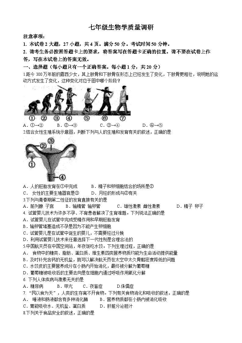 河南省信阳市平桥区2022-2023学年七年级下学期期末生物试题第1页
