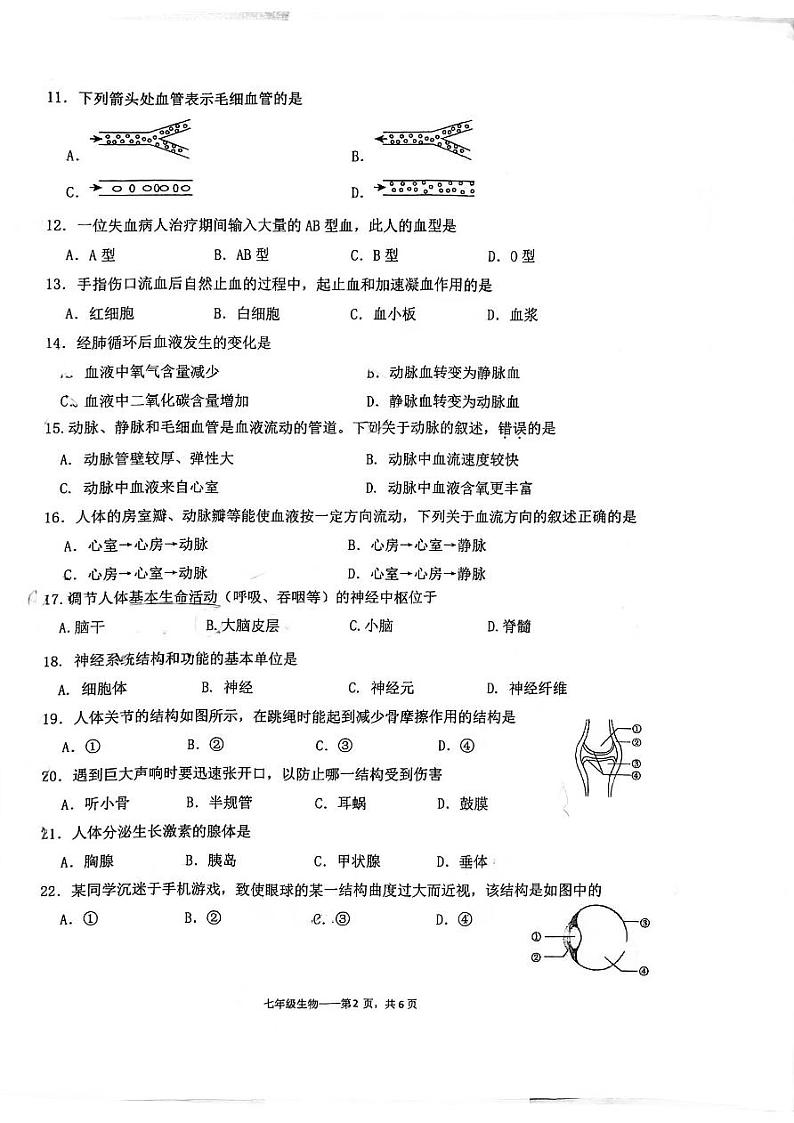 福建省福州市第十九中学2022-2023学年七年级下学期期末测试生物试题02