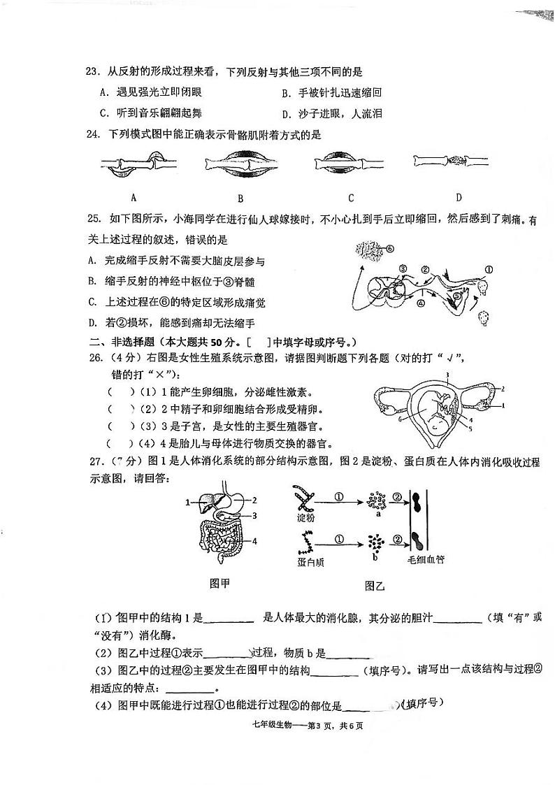 福建省福州市第十九中学2022-2023学年七年级下学期期末测试生物试题03