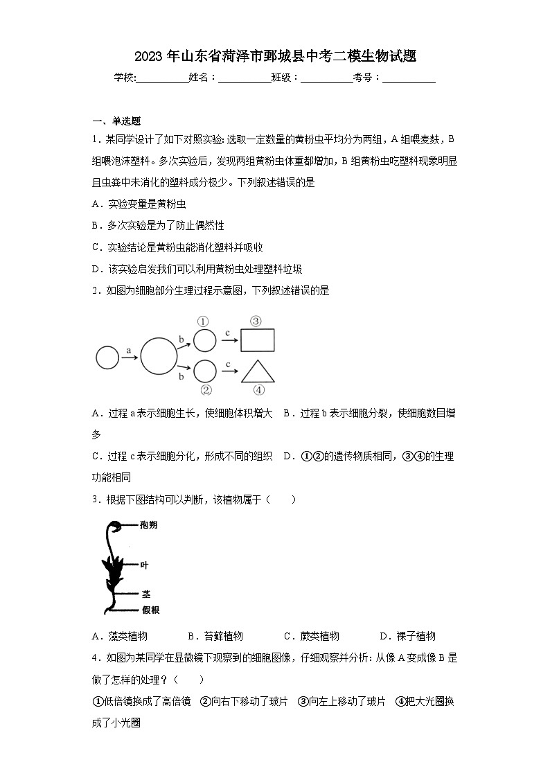 2023年山东省菏泽市鄄城县中考二模生物试题(含解析)01