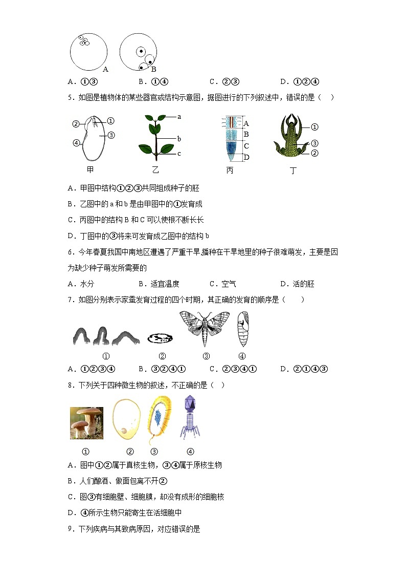 2023年山东省菏泽市鄄城县中考二模生物试题(含解析)02
