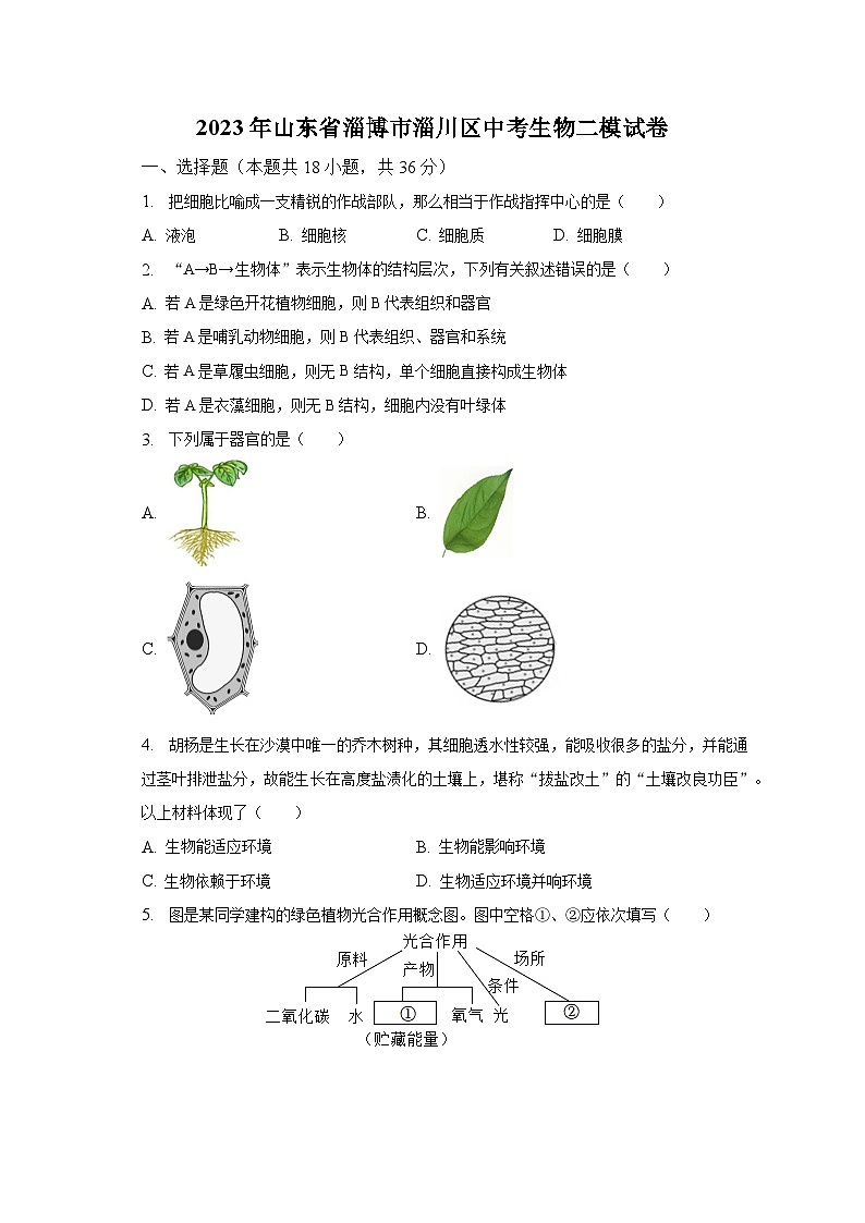 2023年山东省淄博市淄川区中考生物二模试卷(含解析)01