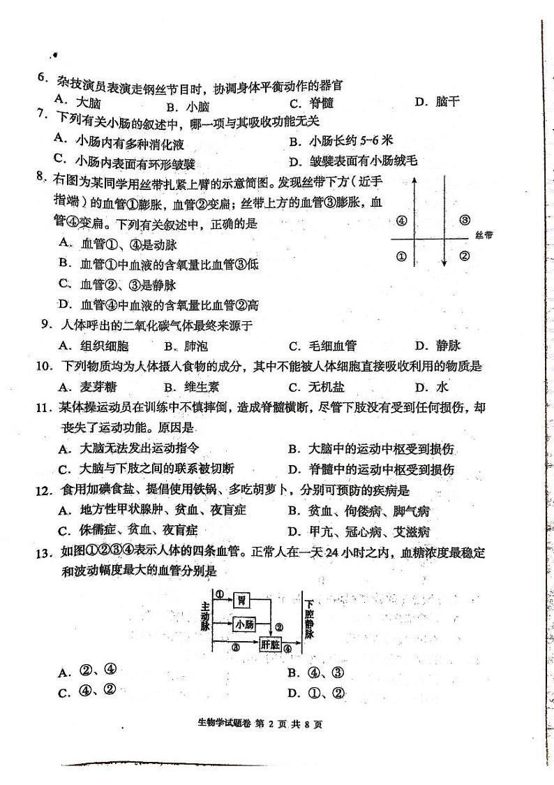 湖南省怀化市洪江市2022-2023学年七年级下学期6月期末生物试题02