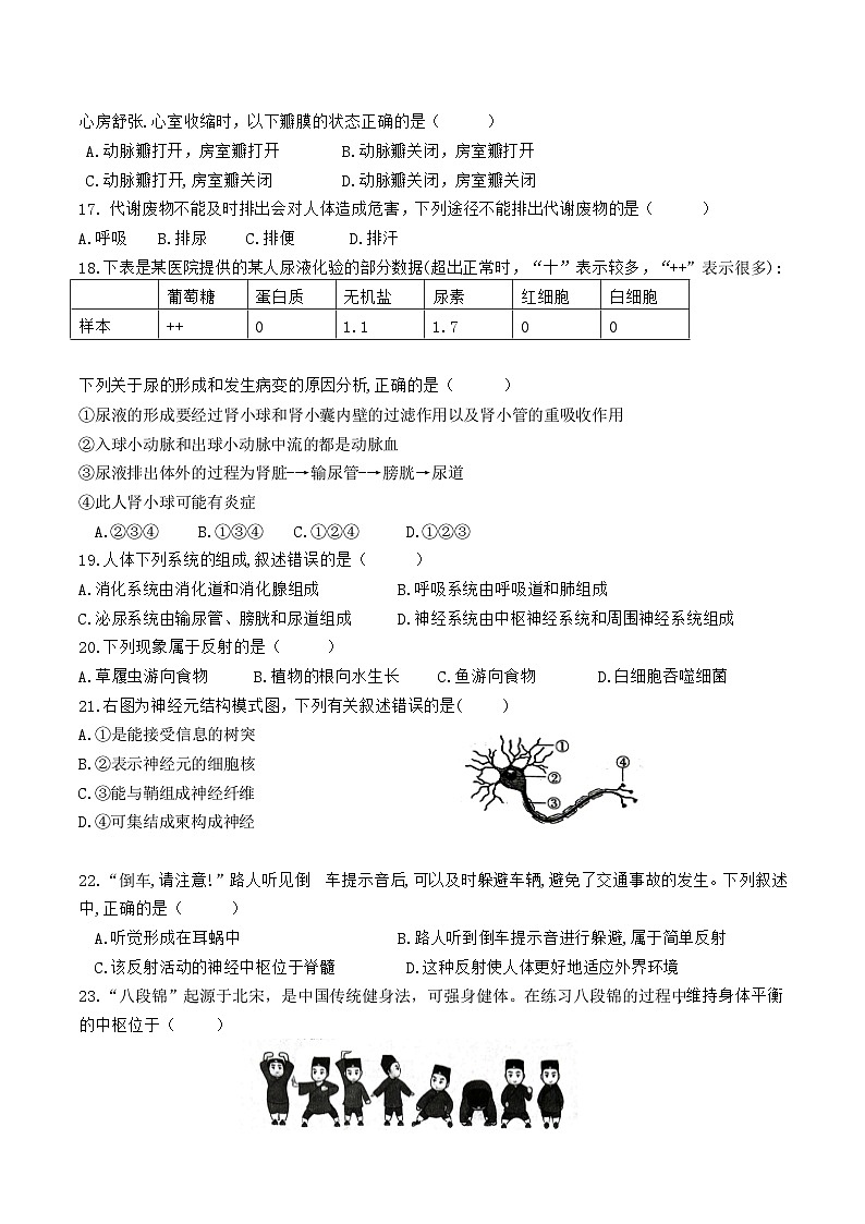 四川省自贡市富顺第二中学校2022-2023学年七年级下学期期末模拟生物试题(含答案)03