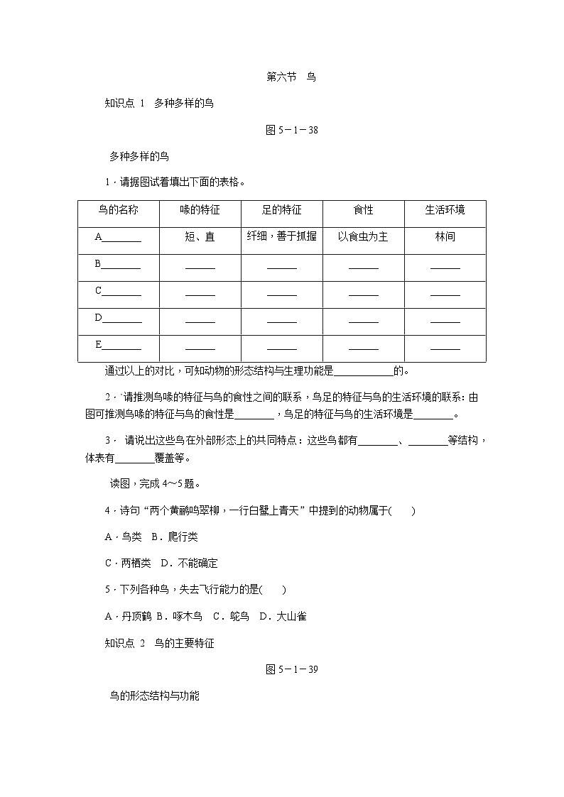 人教版八年级生物上册同步练习:5.1.6 鸟第1页