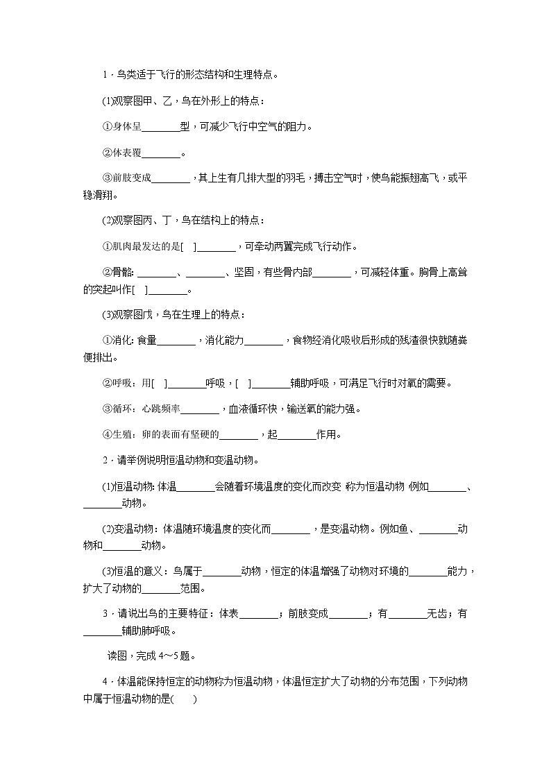 人教版八年级生物上册同步练习:5.1.6 鸟第2页