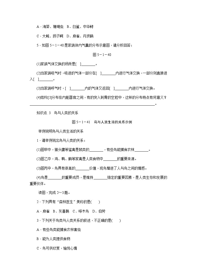 人教版八年级生物上册同步练习:5.1.6 鸟第3页
