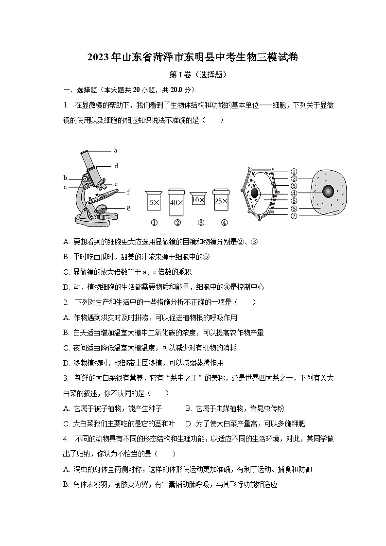 2023年山東省菏澤市東明縣中考生物三模試卷（含解析）第1頁(yè)