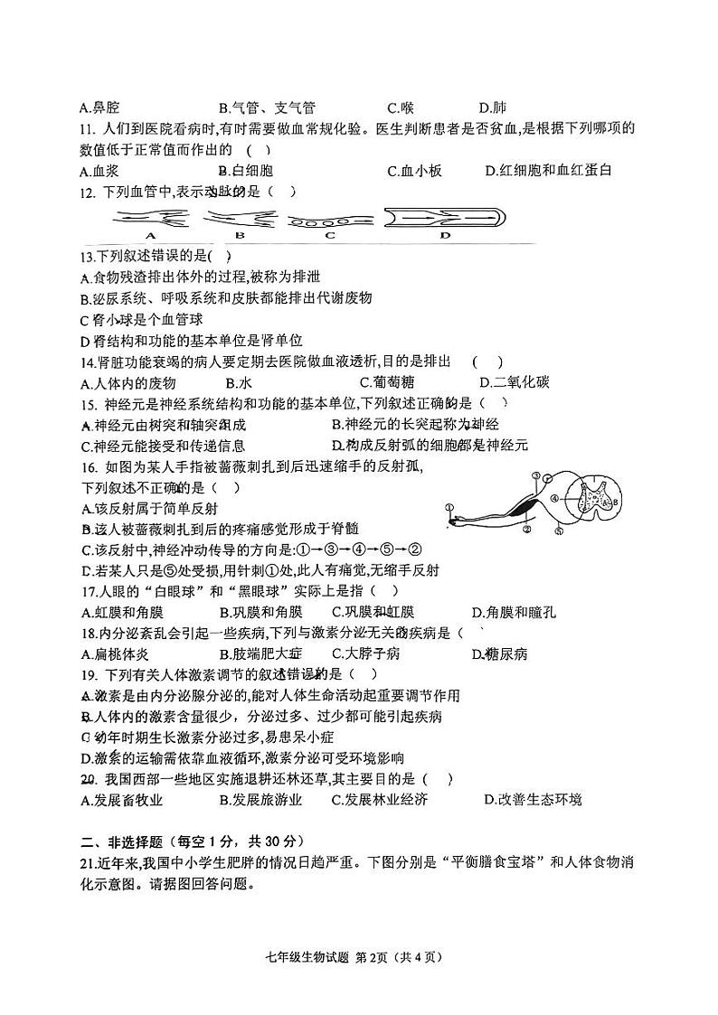 河南省信阳市光山县2022-2023学年七年级下学期6月期末生物试题第2页