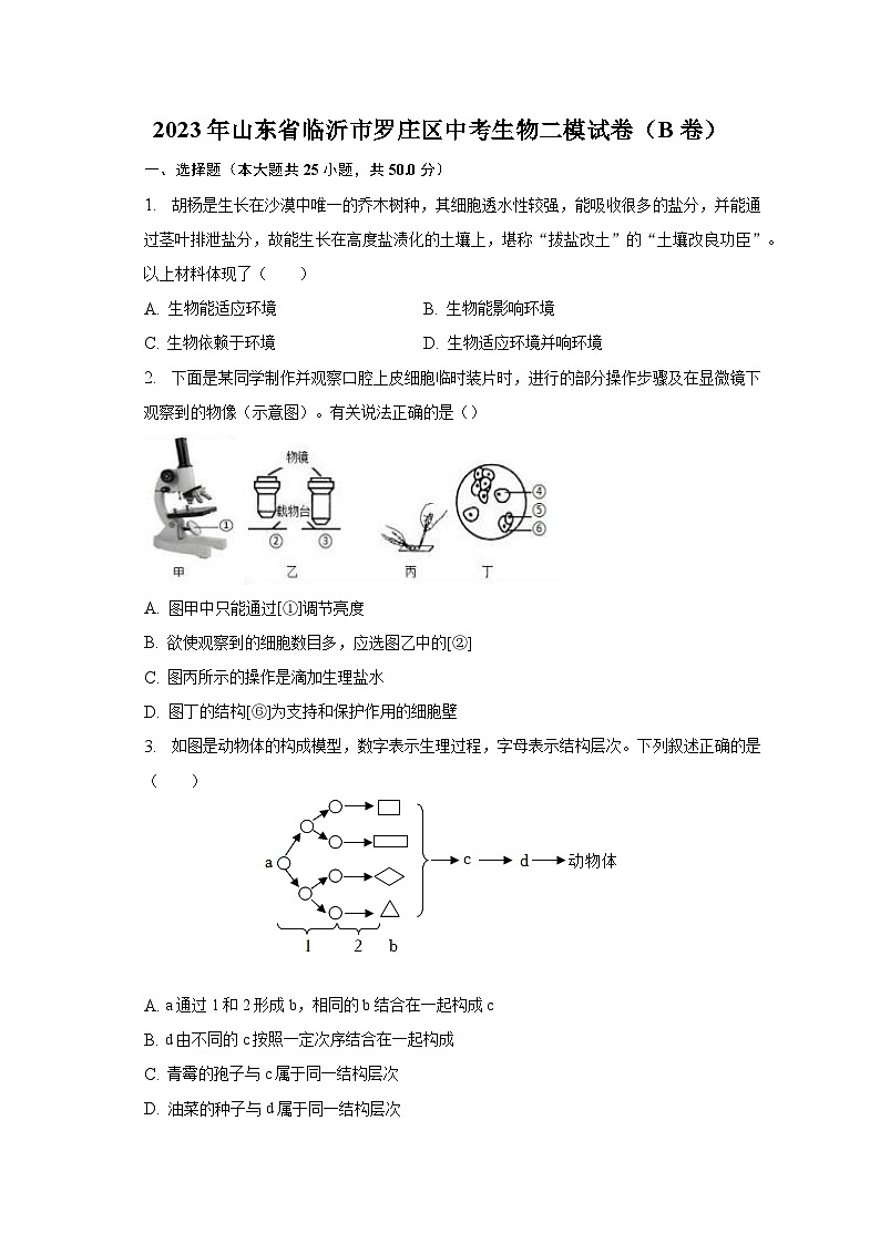 2023年山东省临沂市罗庄区中考生物二模试卷(B卷)(含解析)01