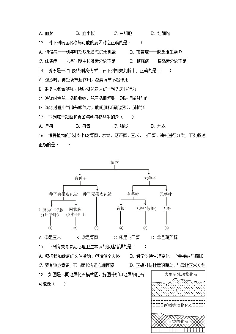 2023年吉林省长春市汽车经开区中考生物模拟试卷(含解析)第3页