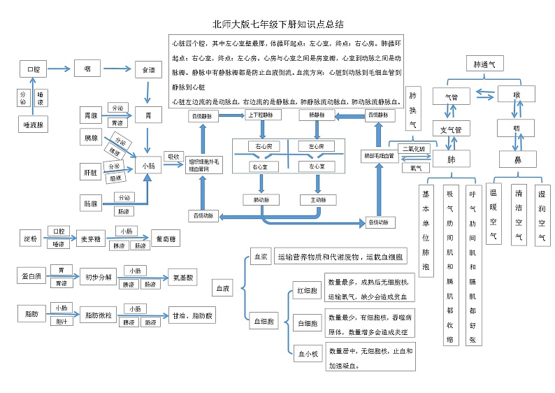 七年级生物下册知识点总结(北师大版)第1页