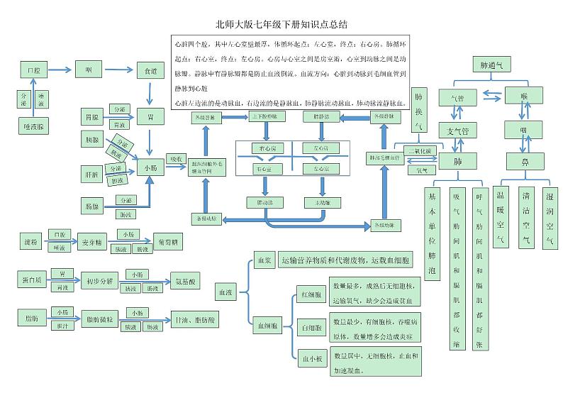 七年级生物下册知识点总结(北师大版)第1页