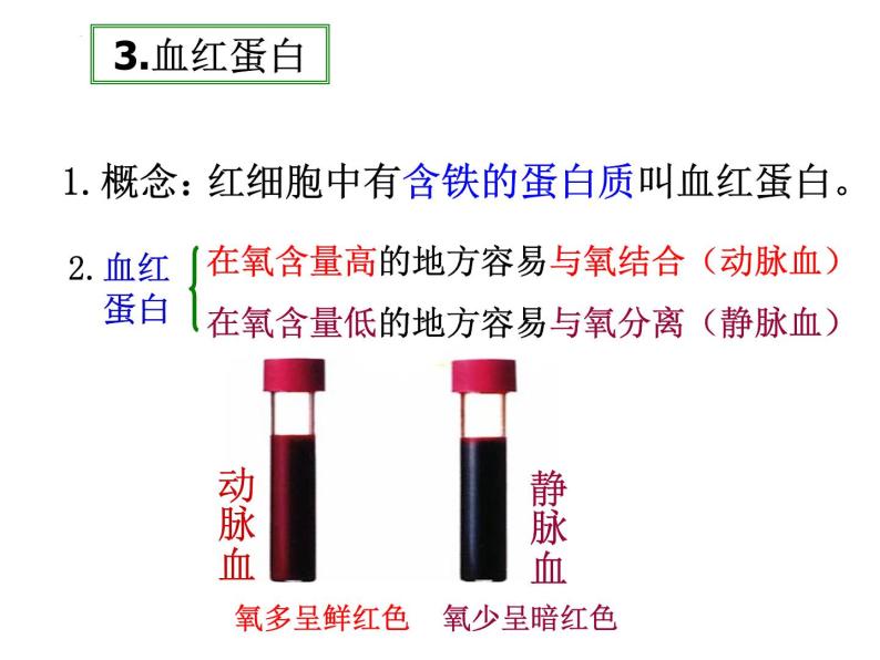 第9章 人体内的物质运输（第1课时）-【期末通关】2022-2023学年七年级下学期生物考点精讲与要点归纳（北师大版）课件PPT06