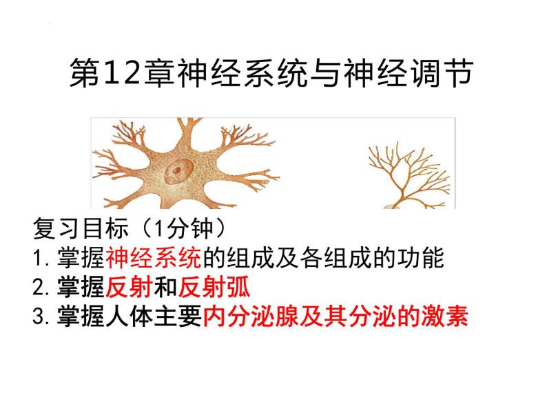 第12章 人体的自我调节-【期末通关】2022-2023学年七年级下学期生物考点精讲与要点归纳（北师大版）课件PPT01