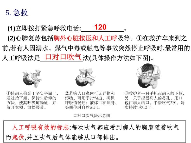 第13章 健康地生活-【期末通关】2022-2023学年七年级下学期生物考点精讲与要点归纳（北师大版）课件PPT07