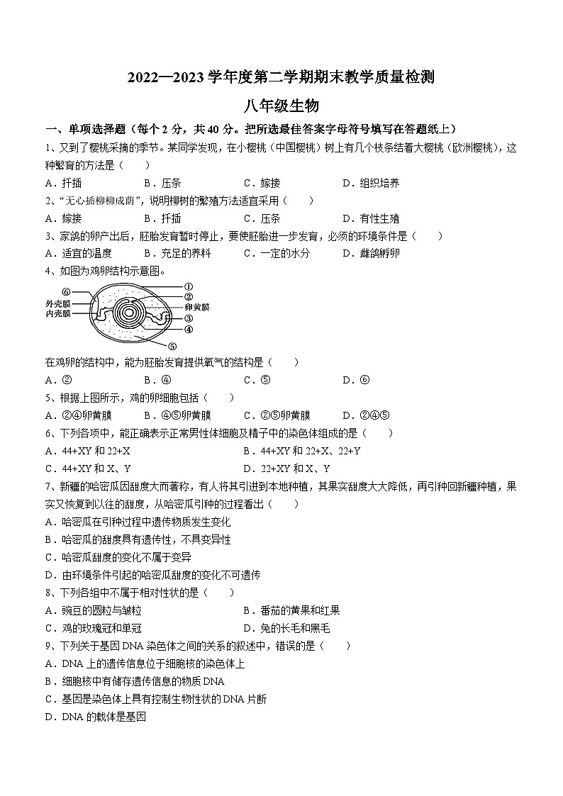 河北省石家庄市栾城区2022-2023学年八年级下学期期末生物试题(含答案)第1页