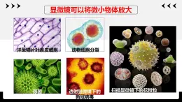 1.4生物学的研究工具课件PPT