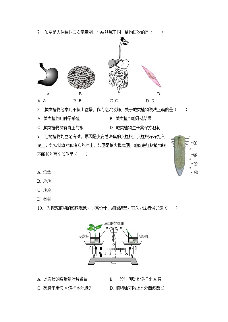 2023年广东省中考生物三模试卷(含解析)第2页
