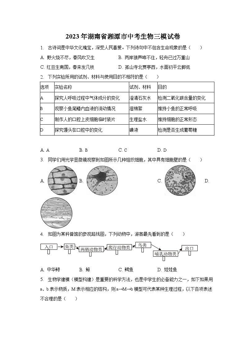 2023年湖南省湘潭市中考生物三模试卷(含解析)第1页