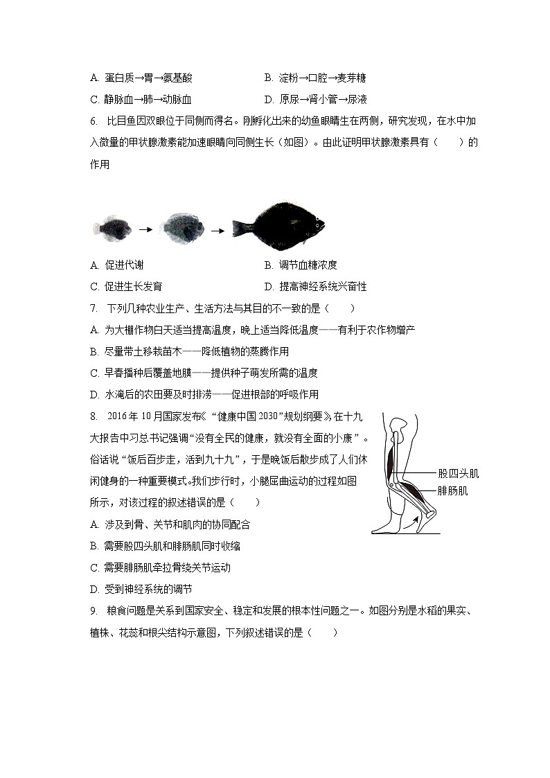 2023年湖南省湘潭市中考生物三模试卷(含解析)第2页