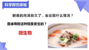 1.3生物学的探究方法课件PPT