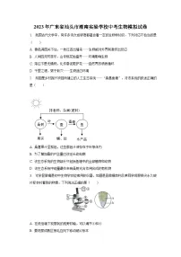 2023年广东省汕头市潮南实验学校中考生物模拟试卷（含解析）