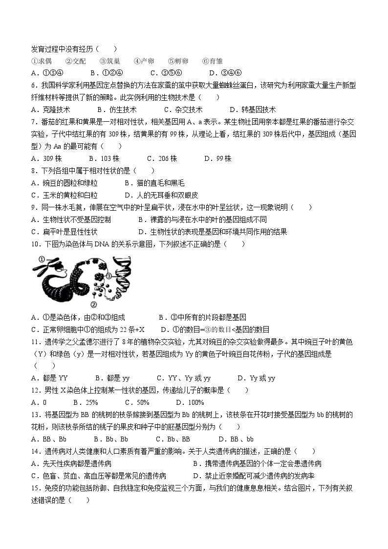 四川省达州市宣汉县2022-2023学年八年级下学期期末生物试题（含答案）02