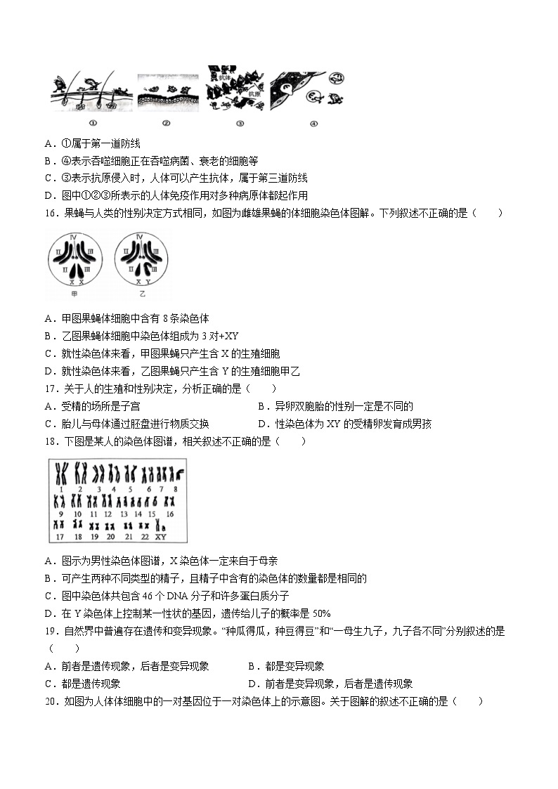 四川省达州市宣汉县2022-2023学年八年级下学期期末生物试题（含答案）03