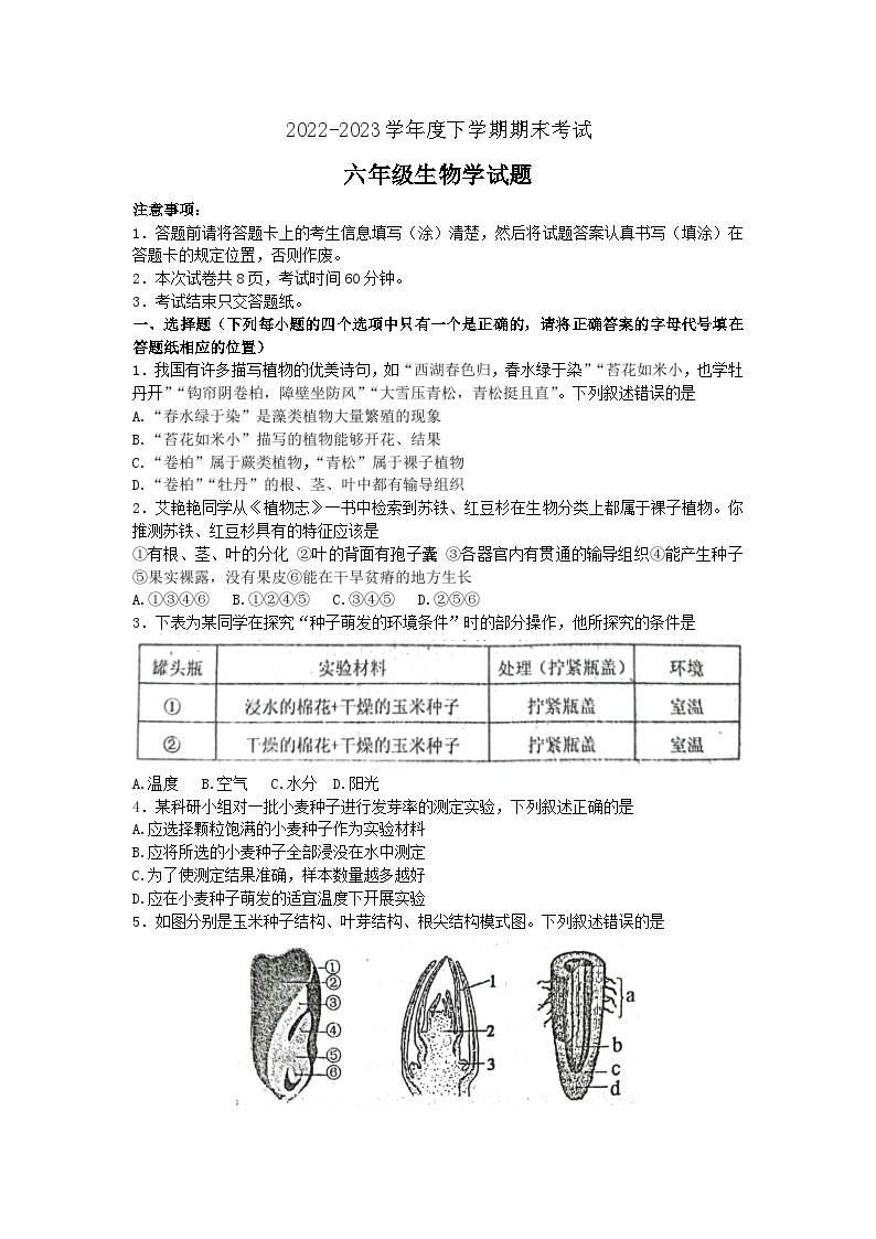 山东省泰安市肥城市2022-2023学年六年级下学期期末考试生物试题（含答案）