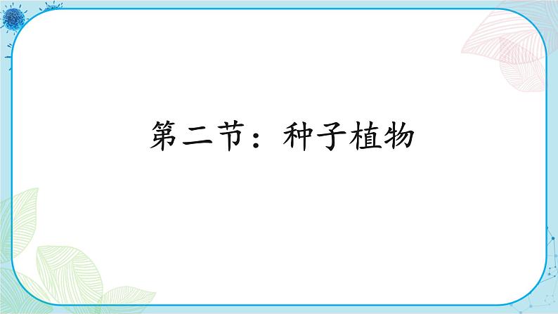 第1章第2节 种子植物第1页