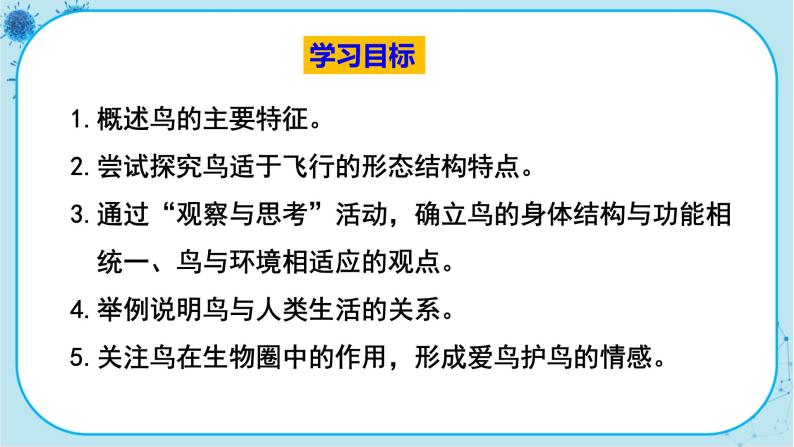 人教版生物八上 第5单元1.6  鸟（课件PPT）03