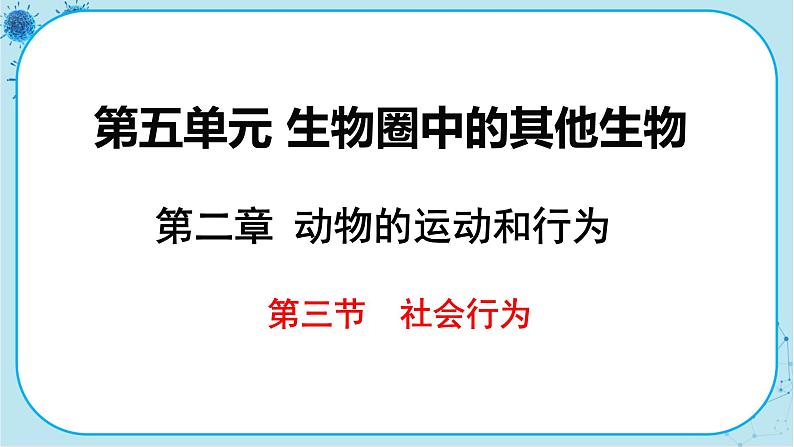 人教版生物八上 第5单元2.3 社会行为(课件PPT)第1页