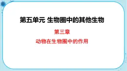 人教版生物八上 第5单元3  动物在生物圈中的作用（课件PPT）