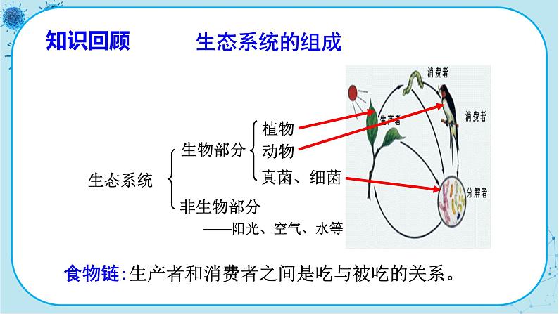人教版生物八上 第5单元3 动物在生物圈中的作用(课件PPT)03