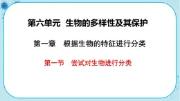 人教版生物八上 第6单元1.1  尝试对生物进行分类（课件PPT）