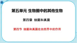 人教版生物八上 第5单元4.4  细菌和真菌在自然界中的作用（课件PPT）